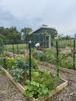 Fairfield Community Garden